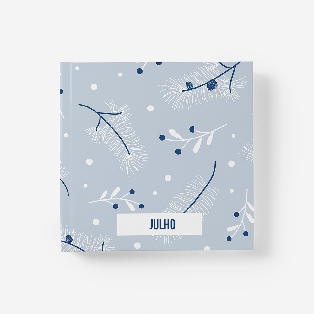 Álbum Julho 1