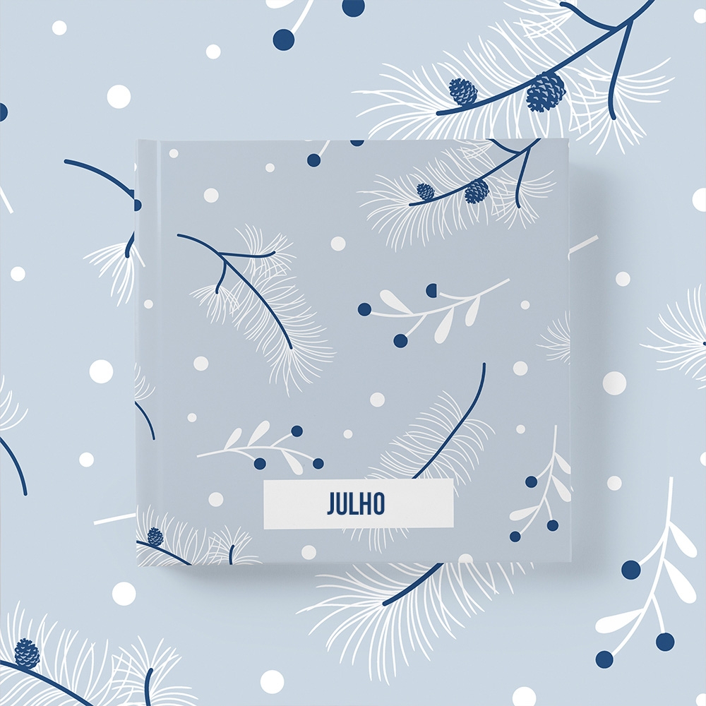 Álbum Julho 2